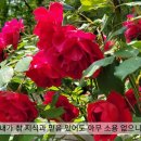 내가 천사의 말 한다 해도 -240526 이미지