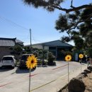 별티농원 이미지