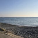 오션나비드풀빌라 이미지