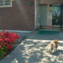 이화공원 화장실 이미지