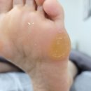 네일레비쥬
