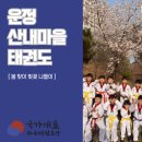 국가대표파주태권도장