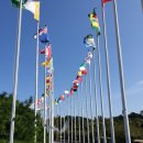 오륜태권도 | 가을은 마라톤의 계절! 2019 올림픽데이런 후기 (feat 우삼겹, 올림픽한증막)