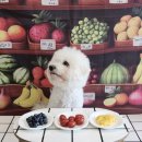 멍더가든 이미지