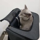 로얄동물병원 이미지