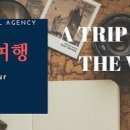 ㈜모아관광여행사 이미지