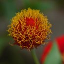 상동초등학교 이미지