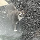 주-004-한국의원1 | 004