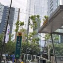 버핏그라운드 역삼 별관, 팀버핏 역삼 | 역삼역헬스장 버핏그라운드에서 매일 운동중