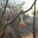 그림책에 담긴 행복 구연 낭독 | 26년 1월, 겨울방학 시작