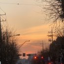 신트리약국 | 4월 ~ 퇴사 구다사이 ~