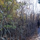 달리오름 이미지