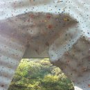 판교 인공암벽장 이미지