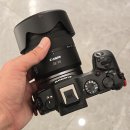 계륵 | 캐논 표준줌 RF 28-70mm F2.8 IS STM 흑계륵 8개월 사용후기. 찍은 사진들~