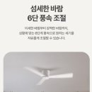 이지 라이트