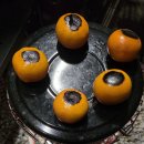 바다여행캠핑장 | 강화 '바다노을캠핑장' 후기