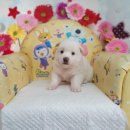 소답동225 이미지