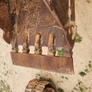 삼성농장 이미지