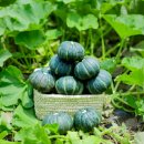 남해-312 이미지