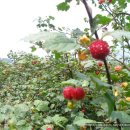 상동농장 이미지