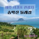초원본가 | 제주 서귀포 가볼만한 곳 송악산 둘레길 후기 소요시간 정리 / 제주도 가족여행 걸을만한 곳