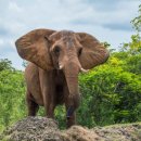 별빛언덕 이미지