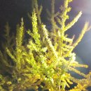 속초엑스포공인중개사사무소 이미지