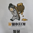 365푸드앤팜