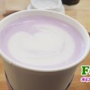 도매하는집 네이버블로그