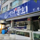 물회의정석