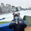 천안상록리조트 | [천안] 상록리조트 눈썰매장, 주말 나들이, 천안 눈썰매장 후기