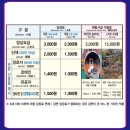 동해시-59 | 동해 묵호 도째비골 스카이밸리 &amp; 해랑전망대 완전정복 🐚🌊 (입장료, 꿀팁 총정리)