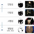 엠지에프두피탈모전문센터 이미지