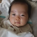 쭈니찌니 - 중구 광복중앙로33번길 9-2 | 쭈니찌니