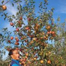 성정농장 이미지