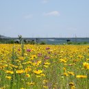 금강변길 이미지