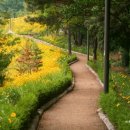 갈현체육공원2 이미지