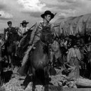 우상농장 이미지