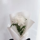 여수home