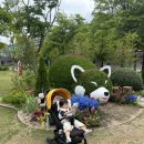 매직게임장 | 서울대공원 원더파크 후기｜생각보다 훨씬 재밌던 이유 (아이랑 강추)