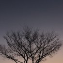 영한여행사