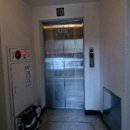 동아목련 이미지