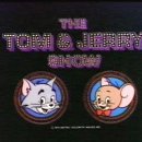 서진통상 이미지