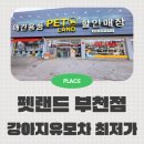 오토랜드 외동점 | 낫쏘빅 강아지유모차 매장 최저가 구매 가능한 펫랜드 부천점