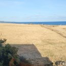 이화목장 이미지