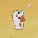 마이펫톡톡 이미지