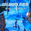 제3문화 아이들 이야기: 새로운 문화에서 살아남기 | 인스파이어 리조트 고래쇼 시간 푸드코트 식당 수영장 후기