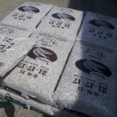 한농종묘농약사 이미지