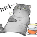 불타는명태조림서 이미지