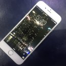 애플피씨 이미지